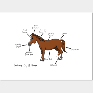 Anatomy of a Horse Posters and Art